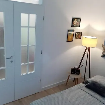 Stan, Eleven-elf Centar, Novo